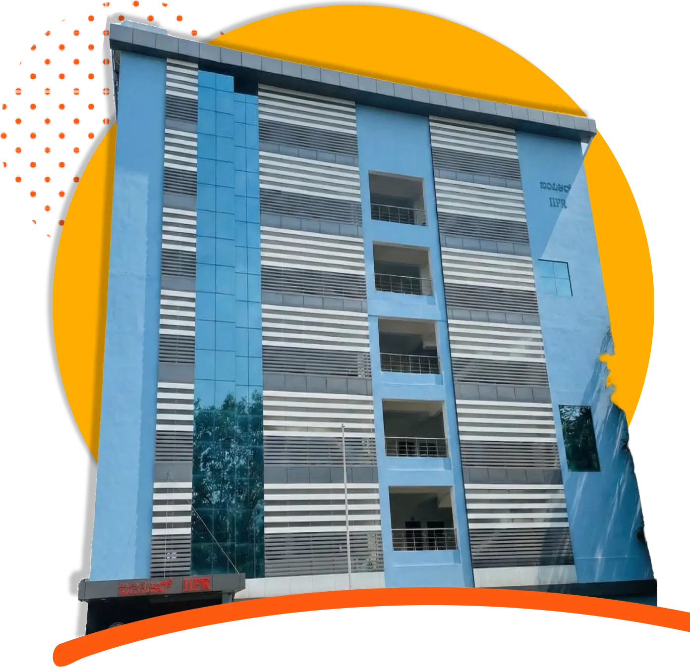 About Us