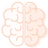 pink human brain