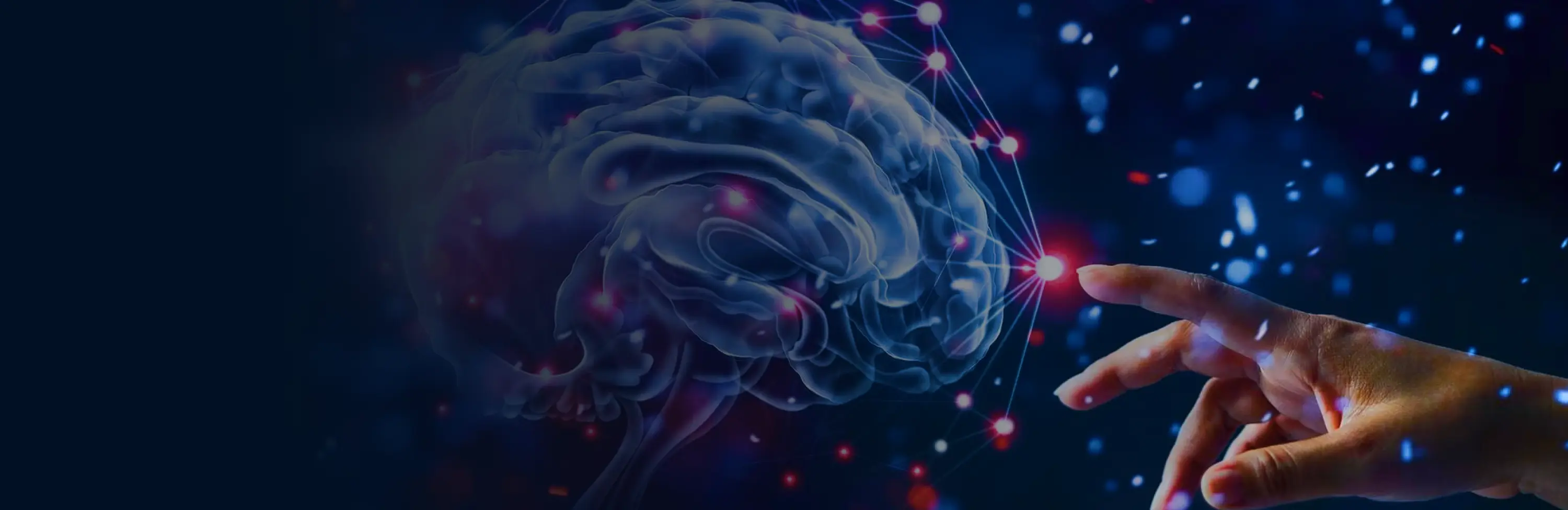 Where Ideas Ignite - IIPR Labs